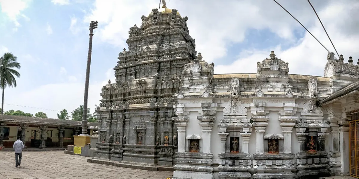 Sri Kurmanatha Swamy Temple