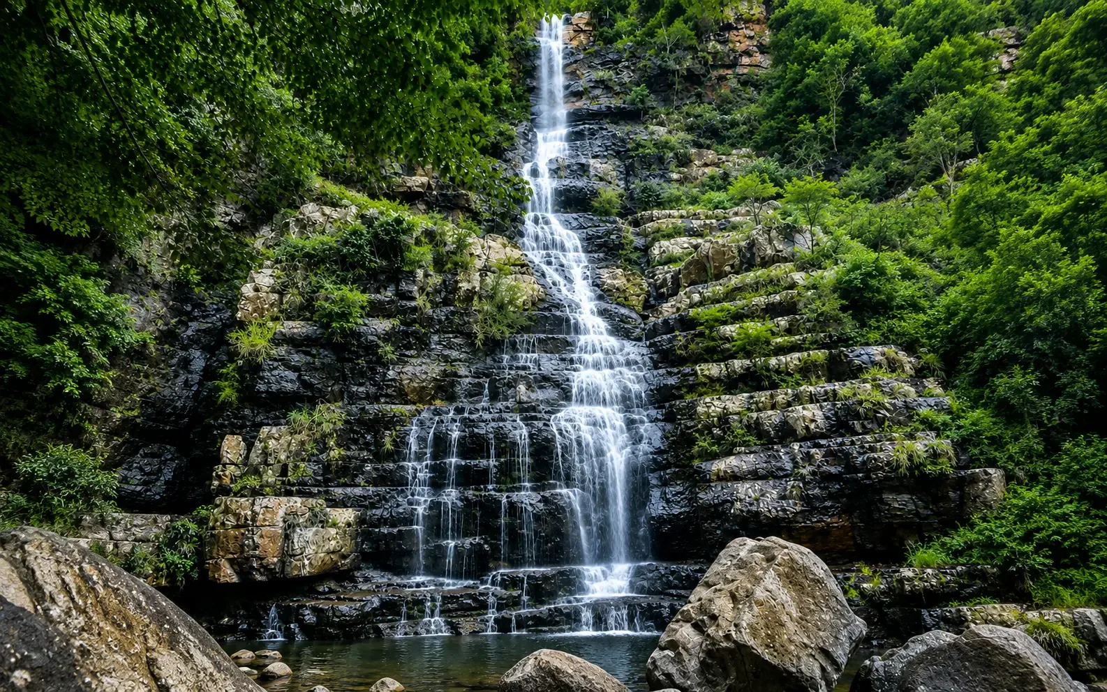 Top 5 Places to Visit in Araku Valley in 2026